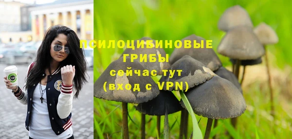 прущая мука Вязьма